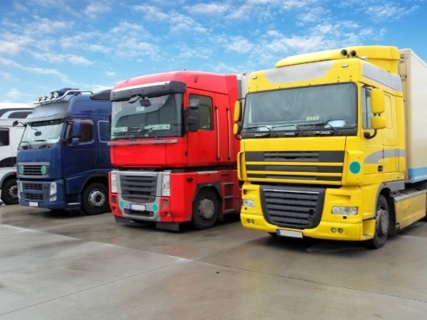 İzmir Bornova Nakliye